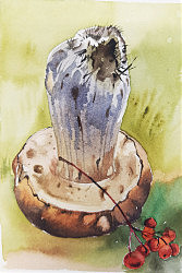 Малюнок гриба